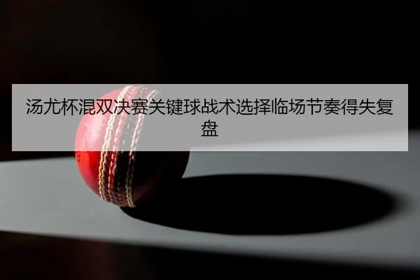 汤尤杯混双决赛关键球战术选择临场节奏得失复盘